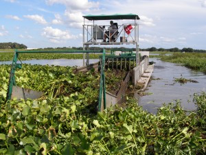 Texas Aquatic Harvesting